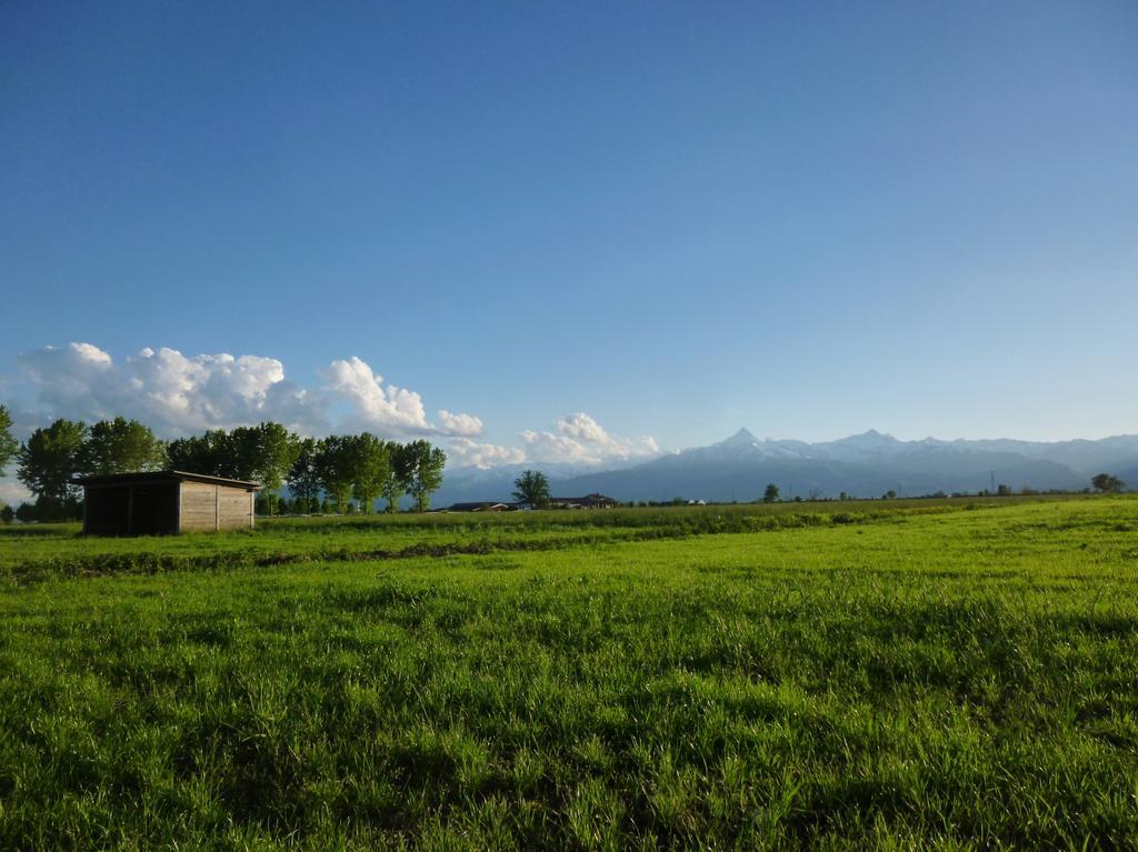 Tenuta Ajrale Vigone Exterior photo